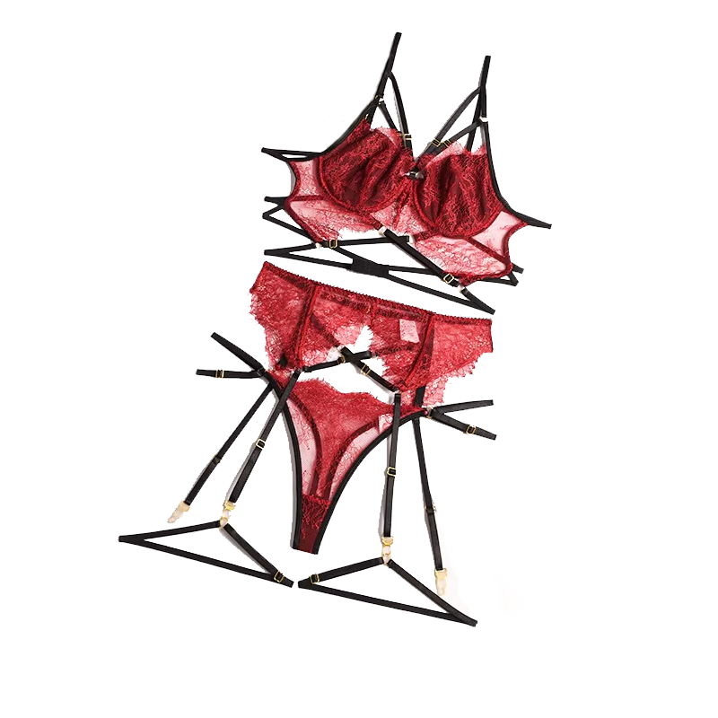Lingerie renda seksi transpara - Sheer Bra Lace ulasan dan harga